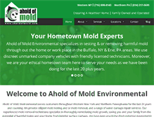 Tablet Screenshot of aholdofmold.com